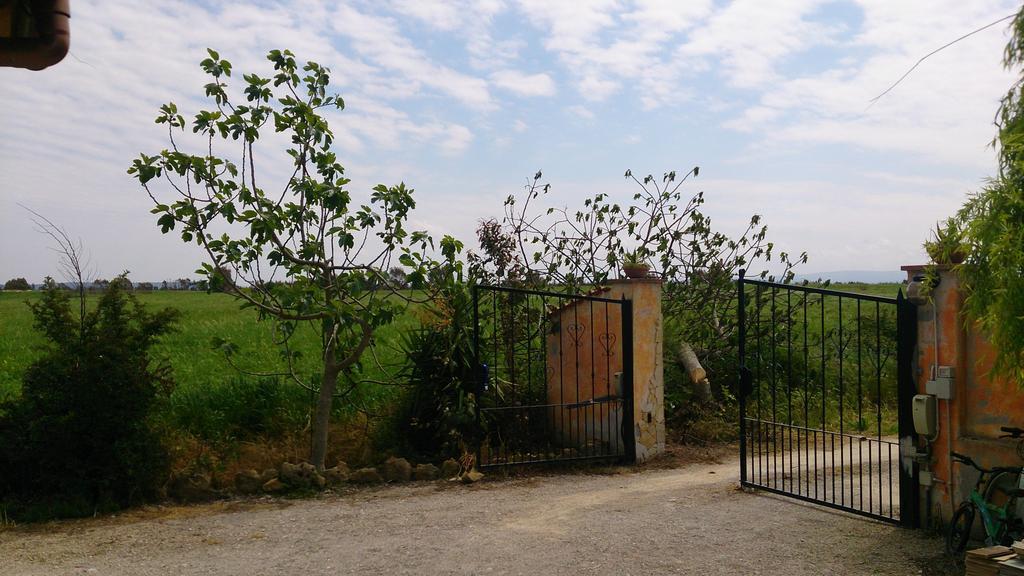 伊尔萨利切公寓 Casa Minnina 外观 照片